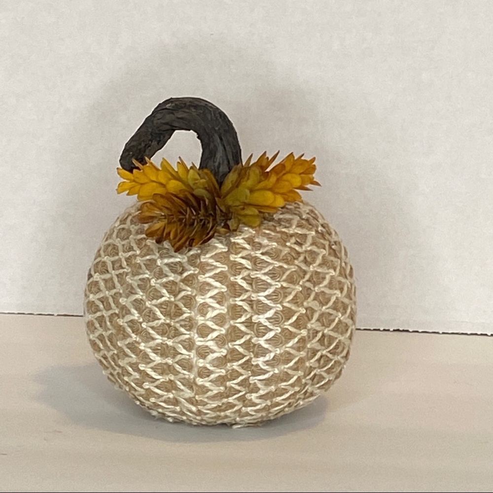 Handmade Pumpkin w/ Hopps Florals